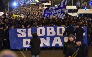 dinamo