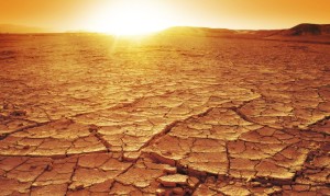 Sunset at a desert