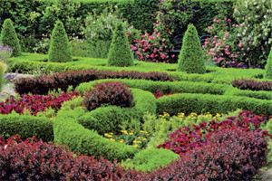 raaslinje