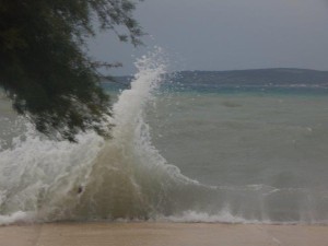 DSCN2925