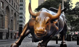 bull